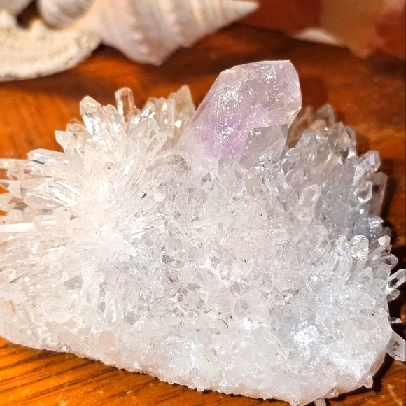 chrysanthemum amethyst cluster - Picture 2 of 9